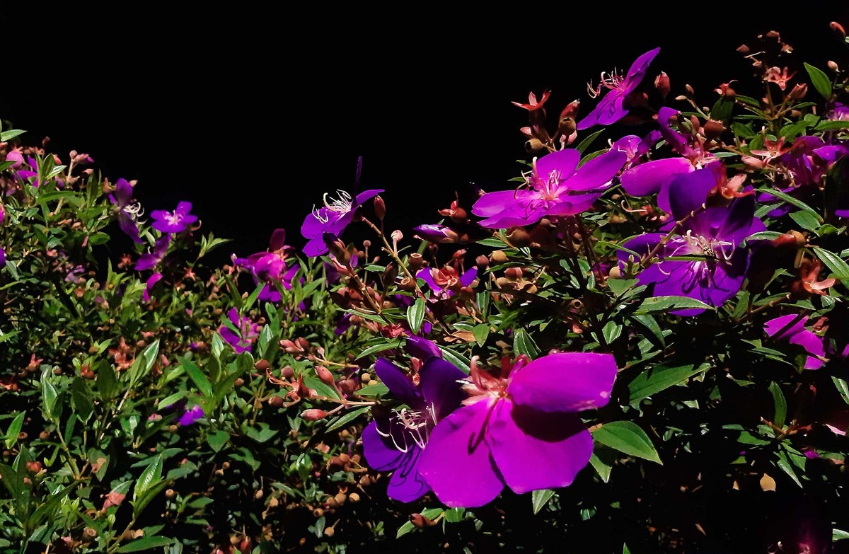 Ngơ ngẩn Tà Đùng! ảnh 12