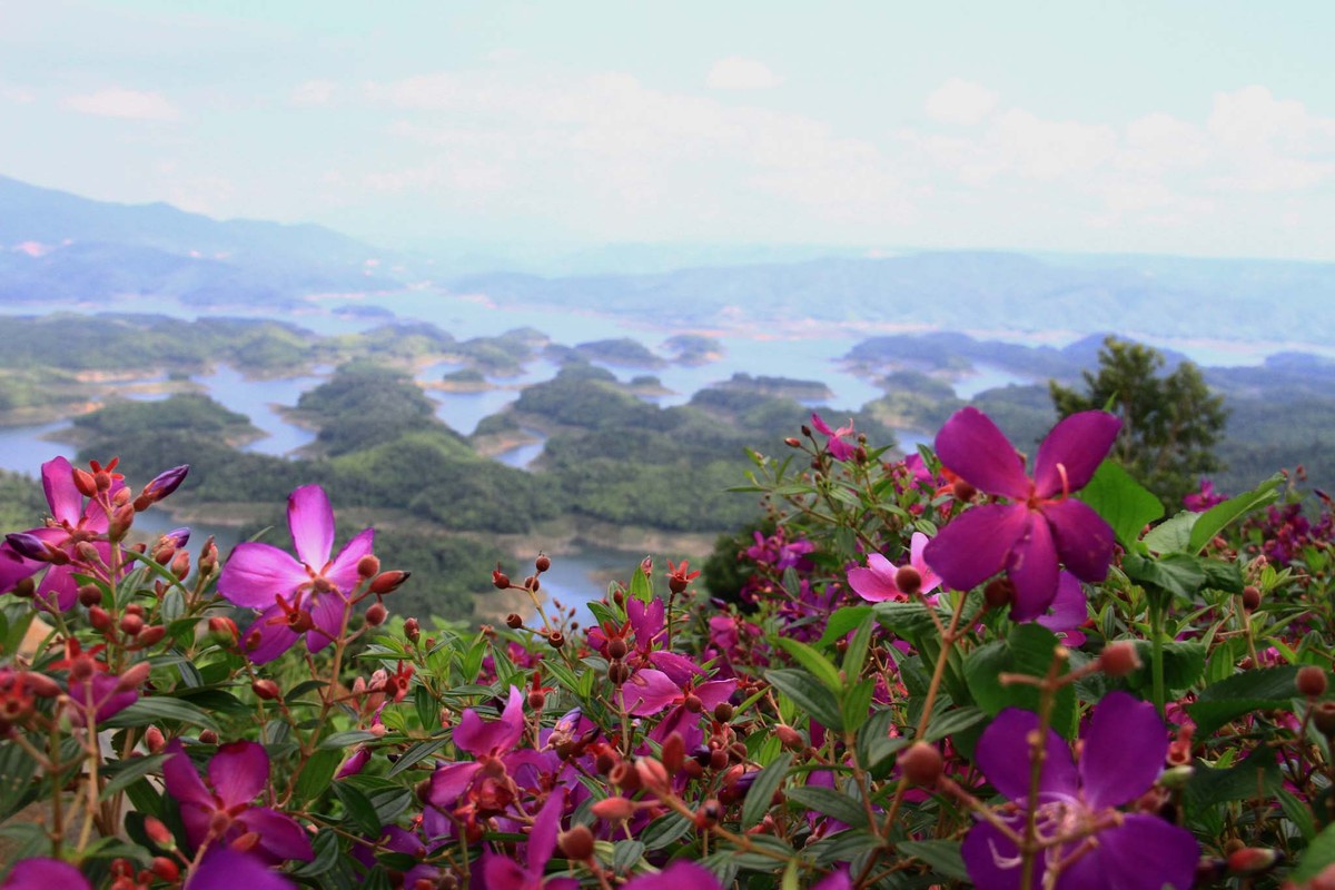 Ngơ ngẩn Tà Đùng! ảnh 3