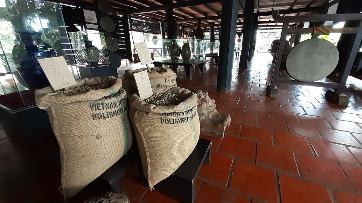 Về Buôn Ma Thuột, ghé thăm hai làng cà phê nổi tiếng ảnh 8