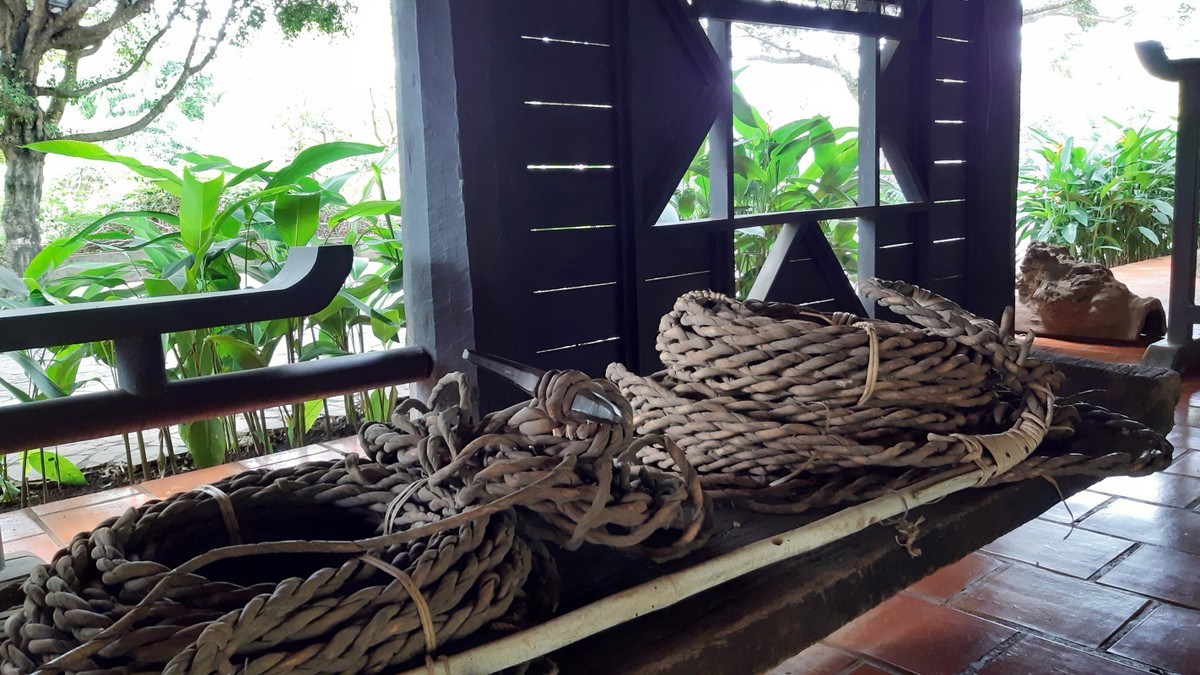 Về Buôn Ma Thuột, ghé thăm hai làng cà phê nổi tiếng ảnh 9