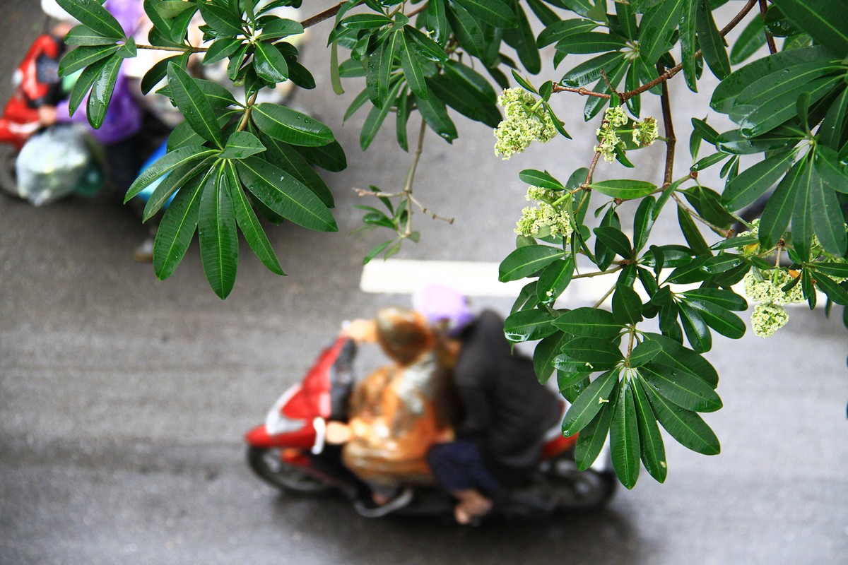 Thèm... một ly Hà Nội ảnh 3