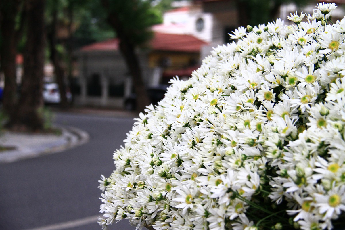 Thèm... một ly Hà Nội ảnh 1