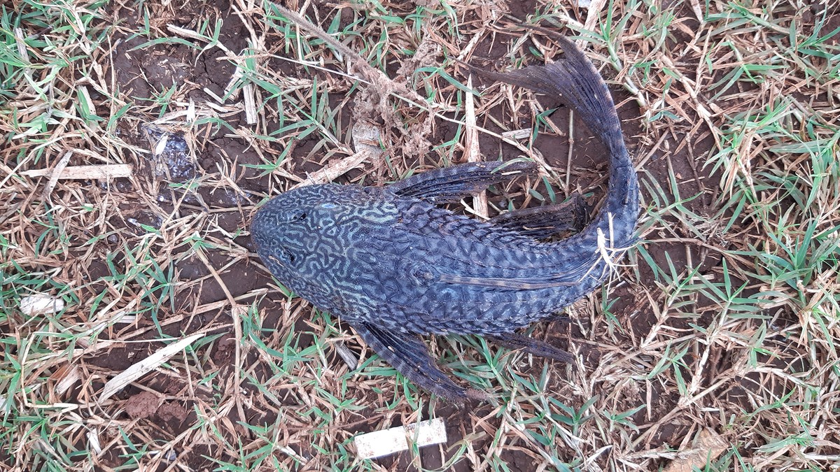 Một ngày với Buôn Ma Thuột ảnh 25