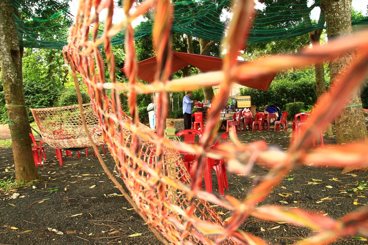 Một ngày với Buôn Ma Thuột ảnh 26