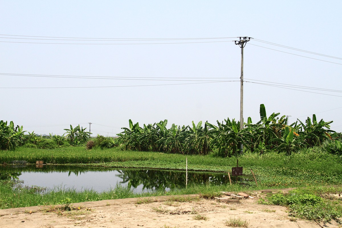 HoREA hiến kế về câu chuyện khung giá đất, bảng giá đất ảnh 1