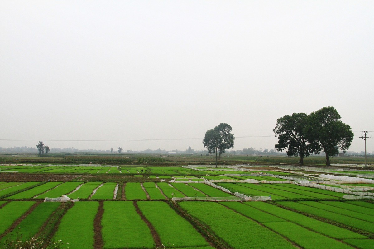 Tháng Chạp! ảnh 3