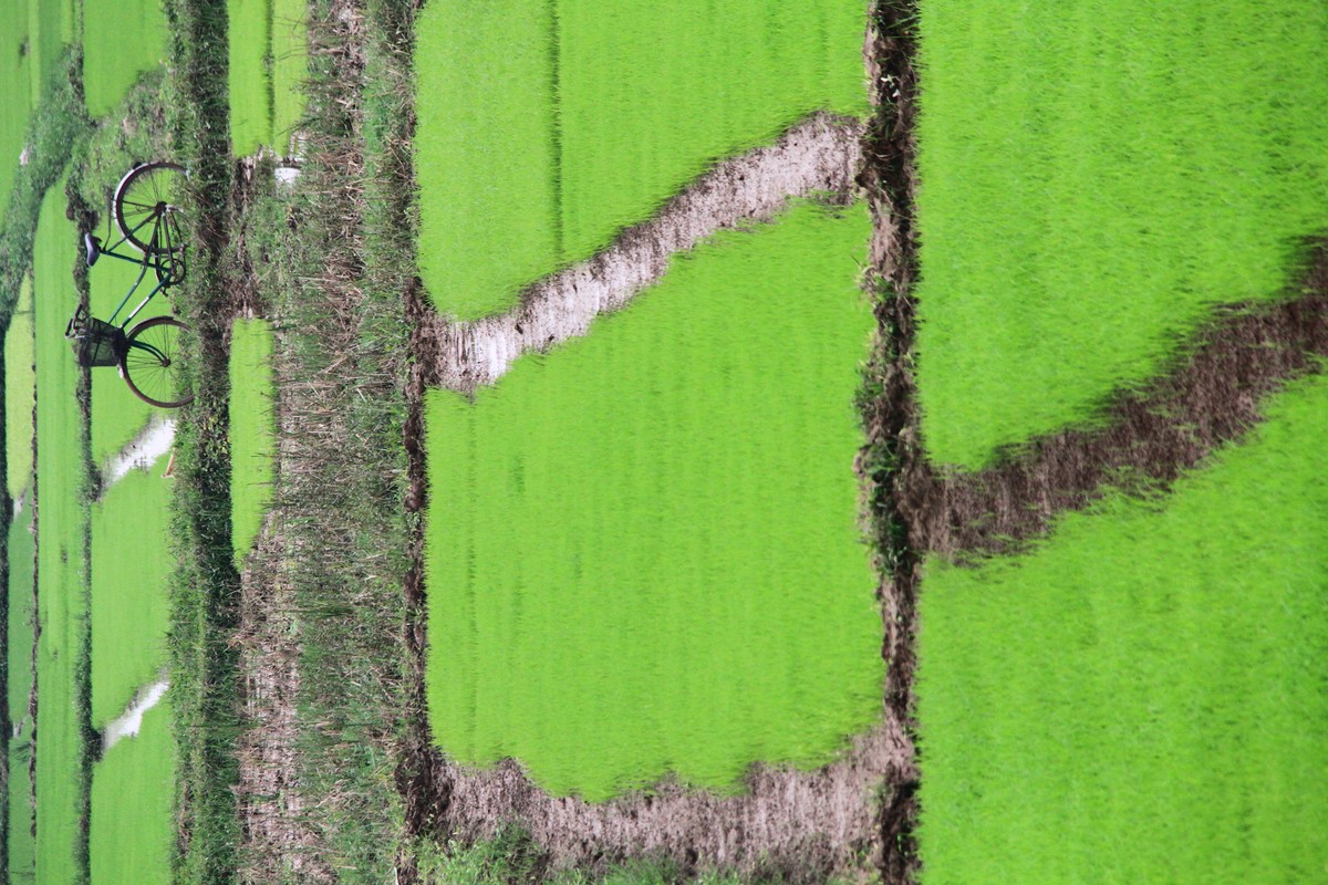 Tháng Chạp! ảnh 4