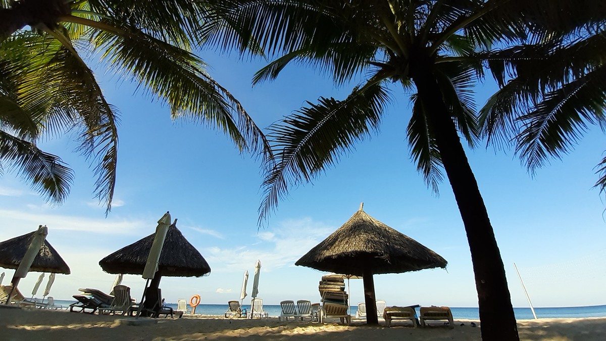 Tác động của dịch Covid-19 tới ngành du lịch, góc nhìn từ diễn biến giá cổ phiếu ảnh 1