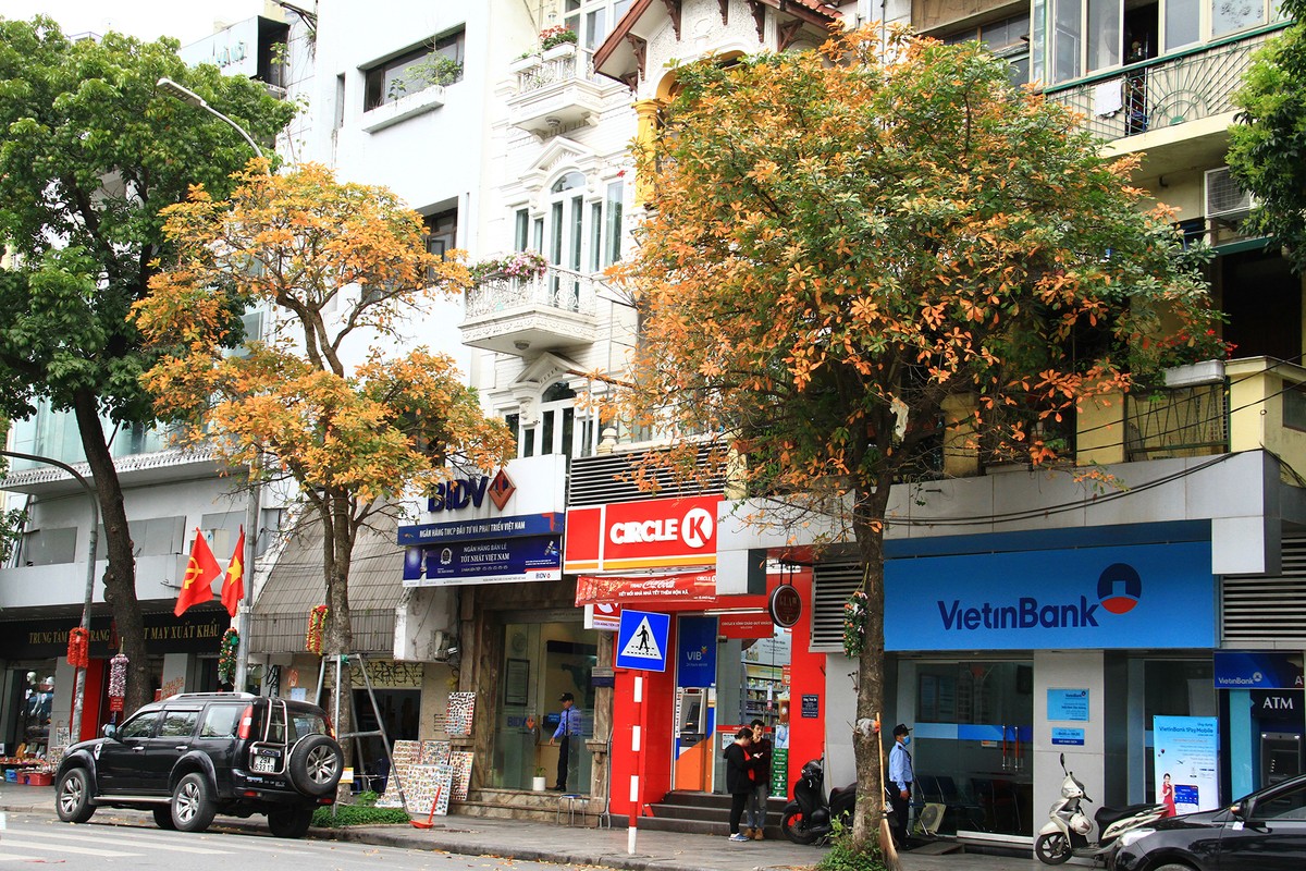 Tháng 3 đỏng đảnh như con gái ảnh 1