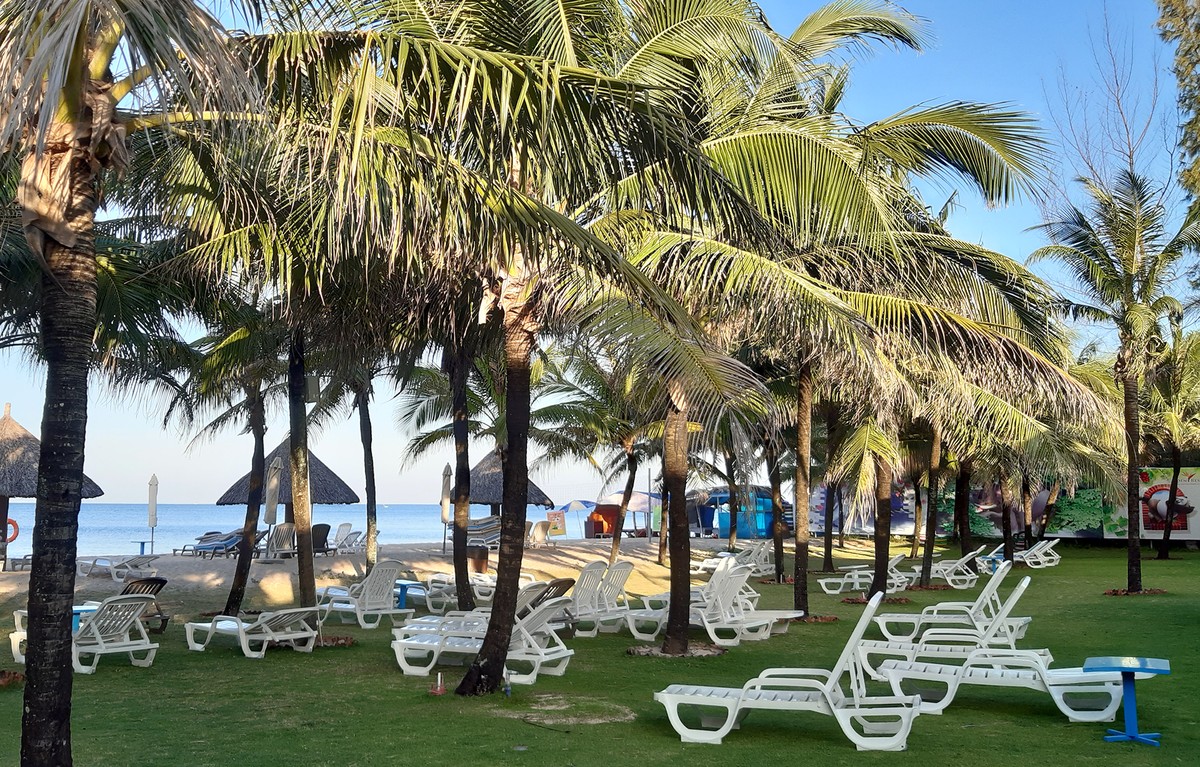 JLL: Đừng đặt cược vào dự đoán táo bạo nào, hãy chuẩn bị cho tăng trưởng chậm và kéo dài ảnh 1