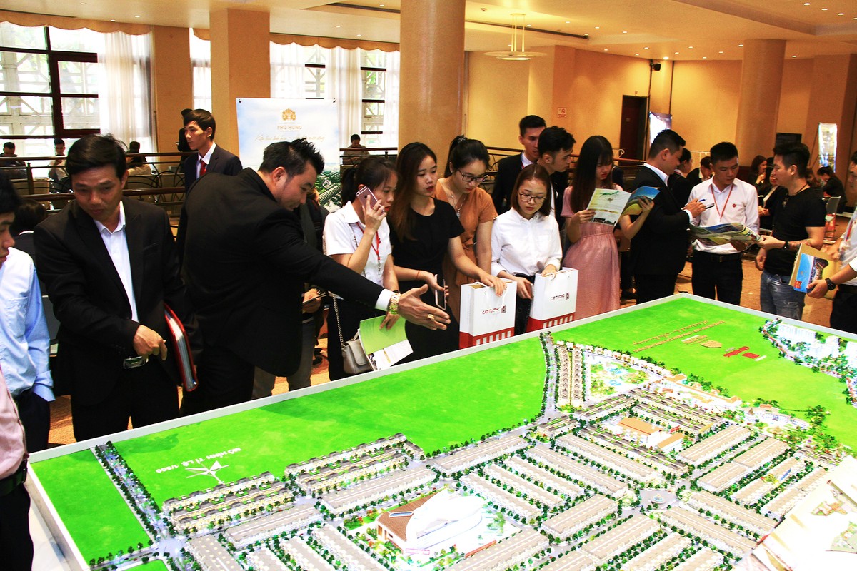 “Nghị định 25/2020/NĐ-CP giúp địa phương tự tin hơn khi giao đất” ảnh 4