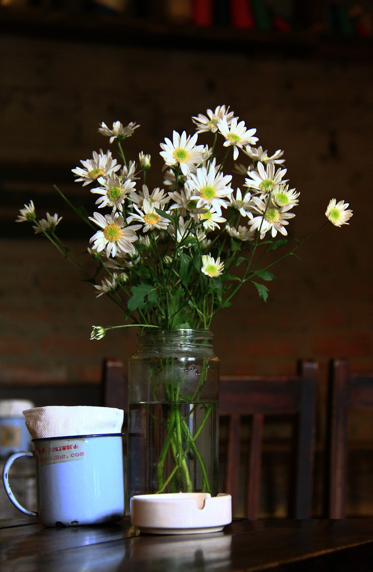 Hà Nội: Cúc Họa Mi trái mùa ế vì Covid-19 ảnh 10