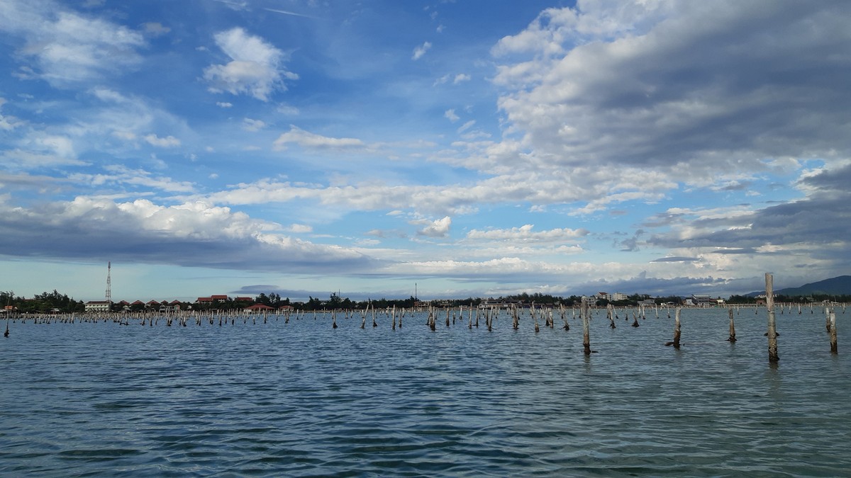 Cất rớ đêm trên Đầm Lập An ảnh 4