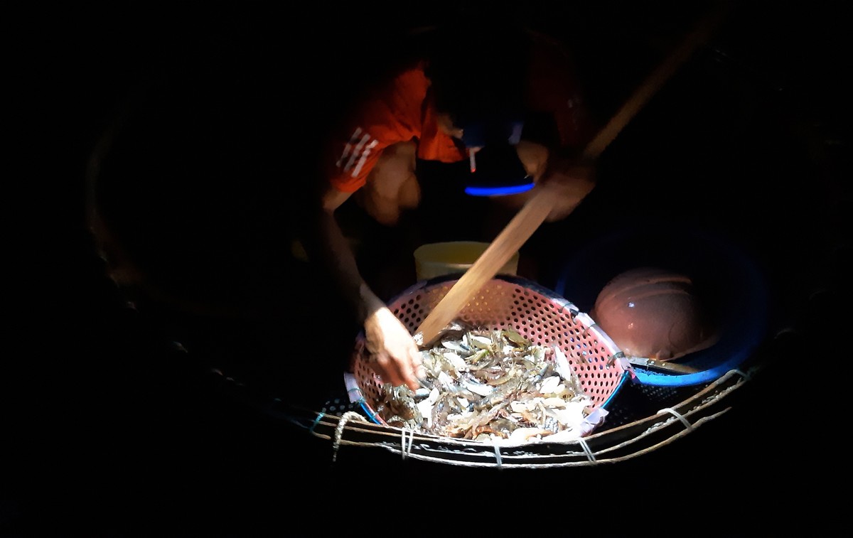 Cất rớ đêm trên Đầm Lập An ảnh 15