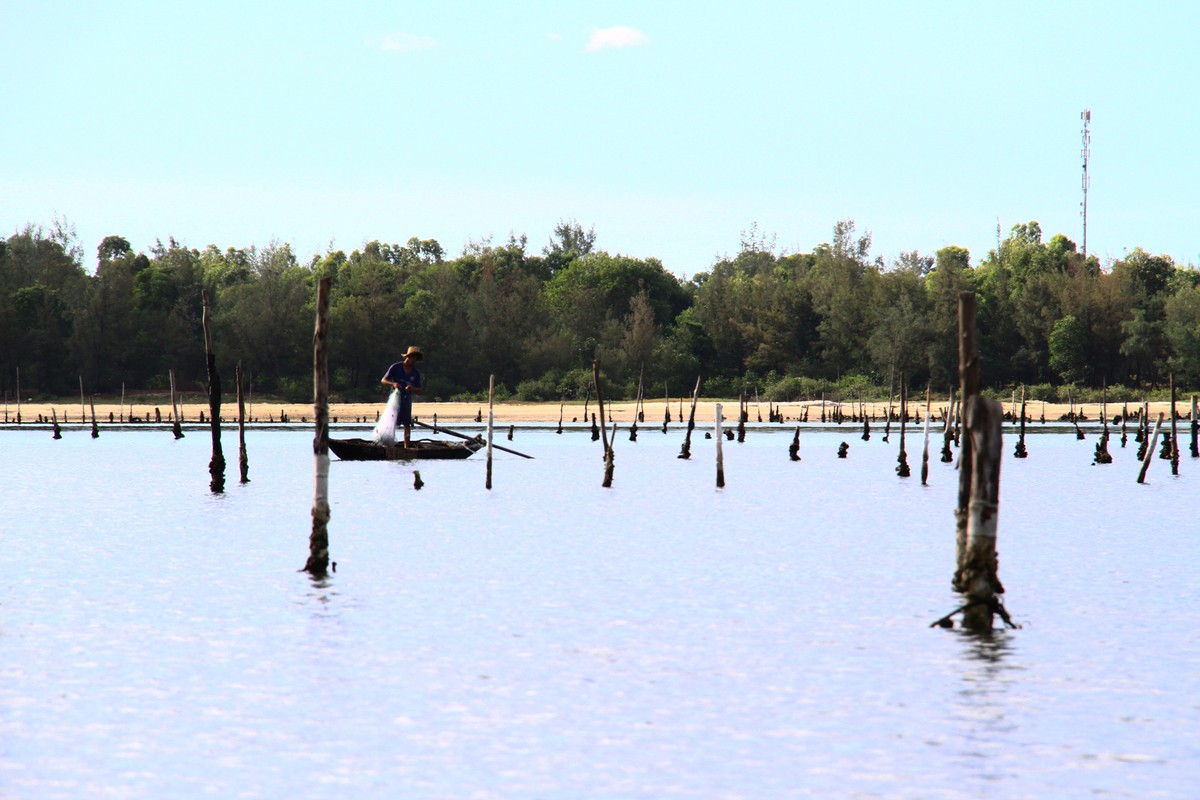 Cất rớ đêm trên Đầm Lập An ảnh 5