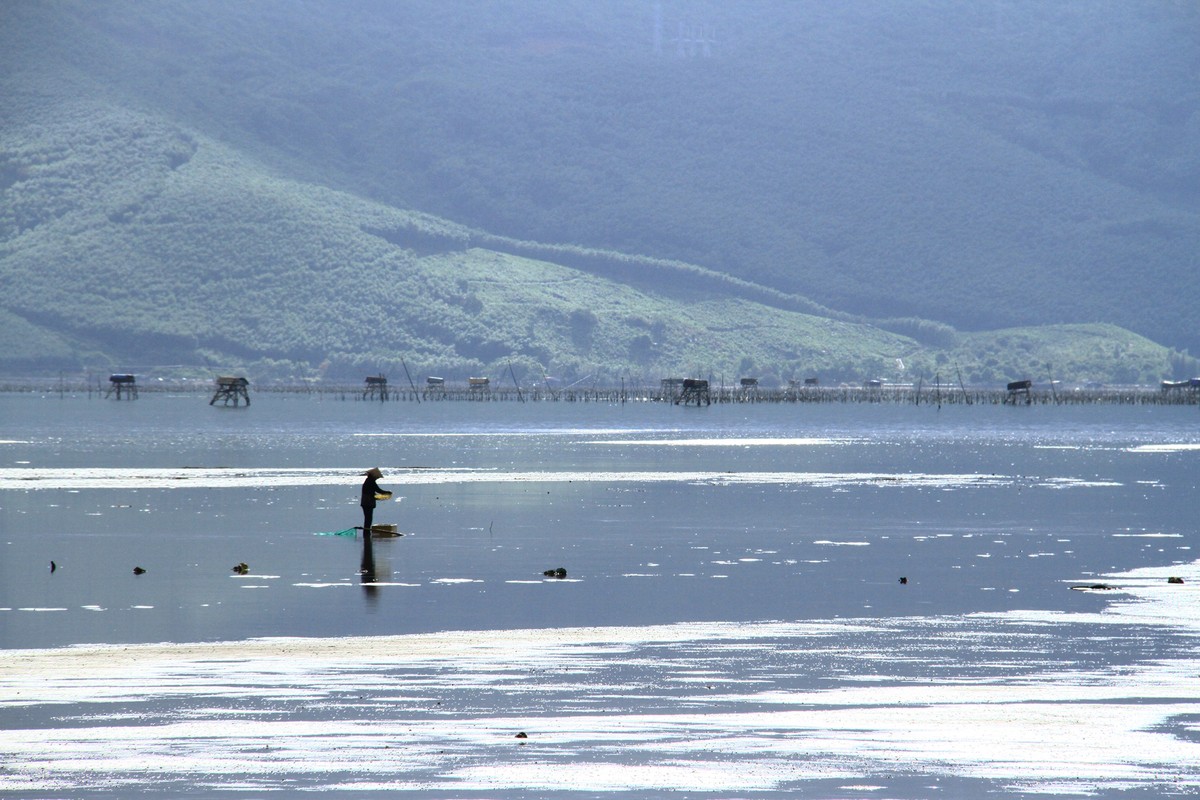 Cất rớ đêm trên Đầm Lập An ảnh 2