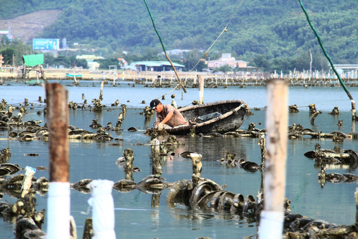 Cất rớ đêm trên Đầm Lập An ảnh 11