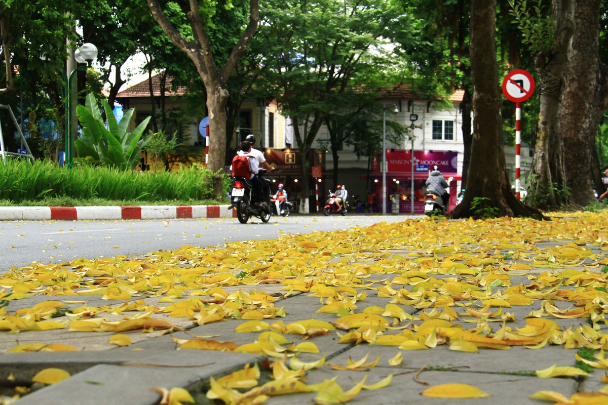 Những ngày này, Hà Nội thực Thu.