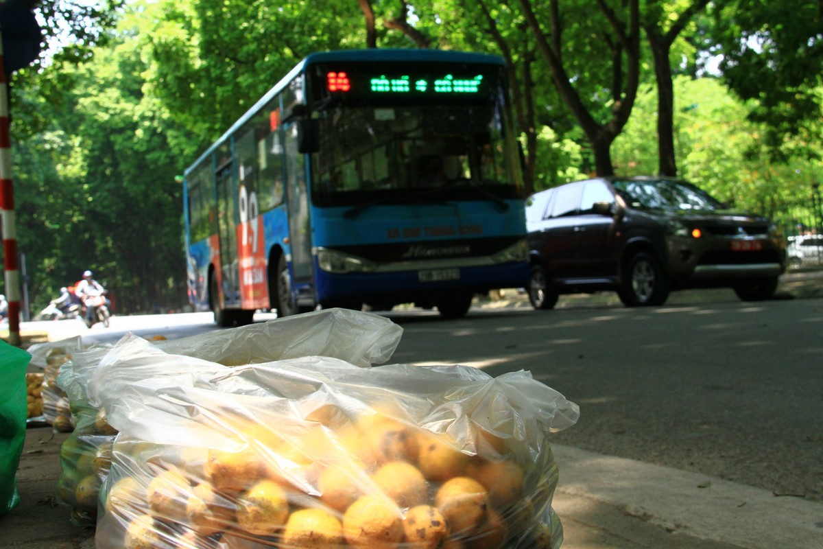 Hình ảnh quen thuộc trên phố Phan Đình Phùng.