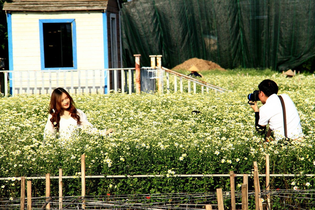 Những vườn hoa ngoài bãi Sông Hồng đang là điểm đến yêu thích của các bạn trẻ. Những vườn hoa ngoài bãi Sông Hồng đang là điểm đến yêu thích của các bạn trẻ.