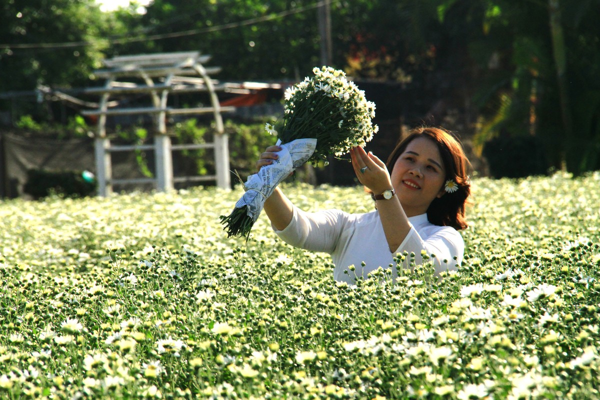 Áo dài và Họa mi. Áo dài và Họa mi.