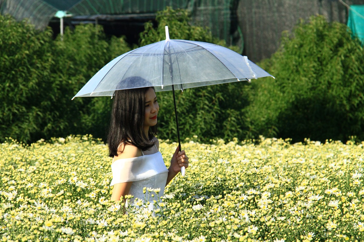 Chiếc ô là phụ kiện thường thấy của cánh chị em. Chiếc ô là phụ kiện thường thấy của cánh chị em.