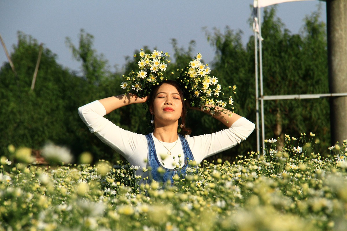 Phiêu linh. Phiêu linh.