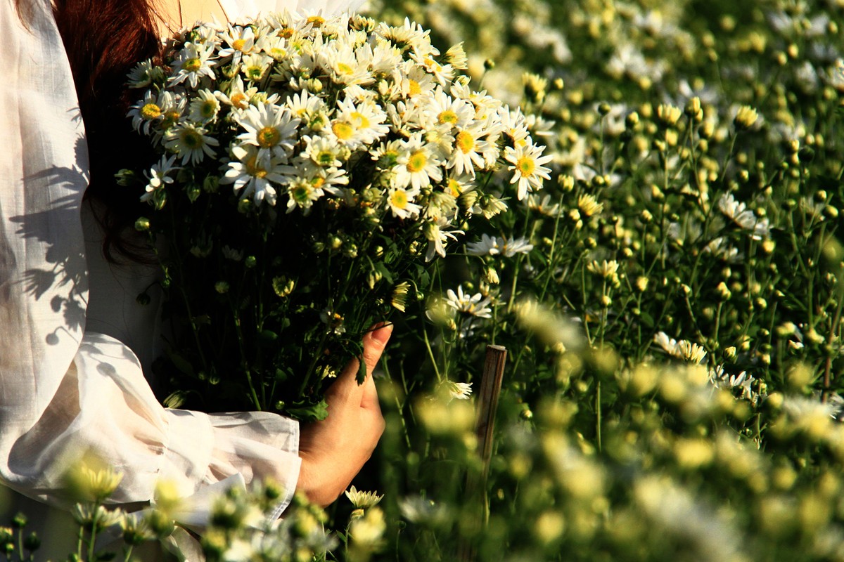 Nhiều bạn nữ còn tranh thủ mua một bó Cúc Họa mi mang về. Nhiều bạn nữ còn tranh thủ mua một bó Cúc Họa mi mang về.