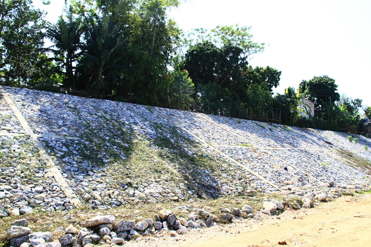 Một đoạn đê được kè tránh sạt lở.