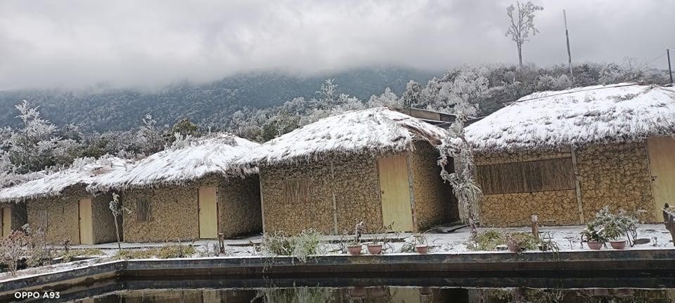 Một khu homestay bị bao phủ bởi tuyết trắng.