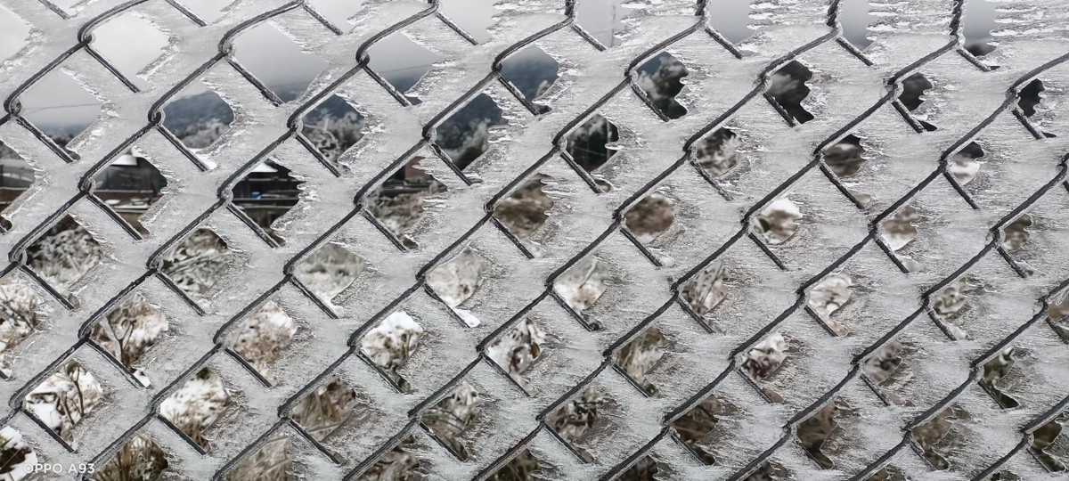 Hàng rào thép đẹp hơn khi băng phủ.