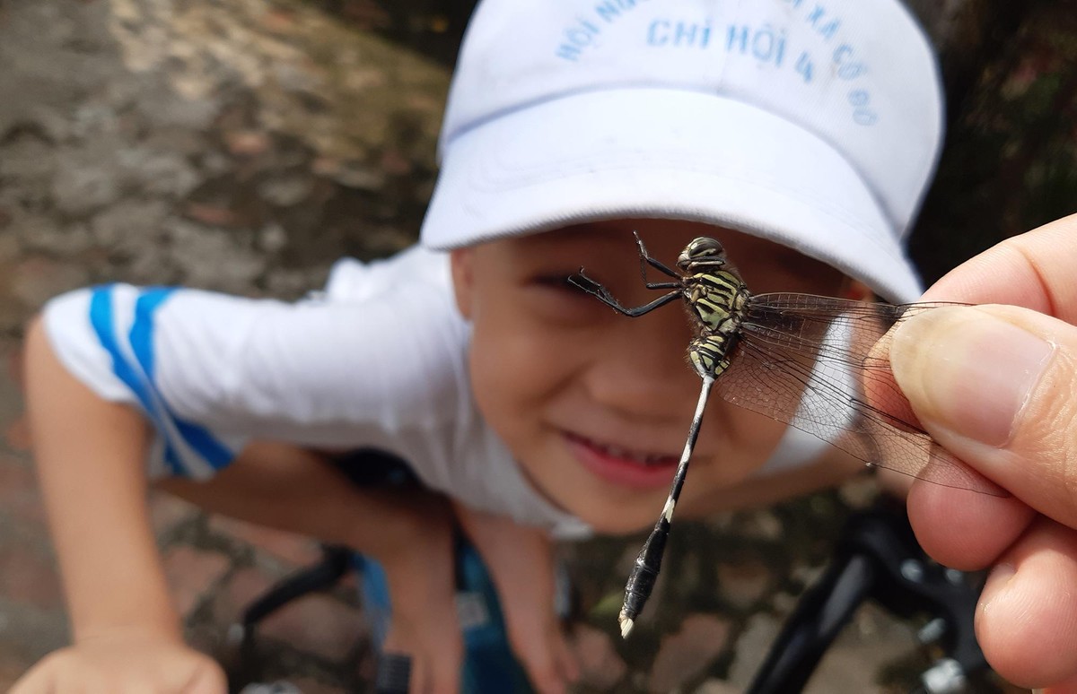 "Chuồn chuồn cắn rốn biết bơi" - biết bao đứa trẻ đã bị lừa điều này. Ảnh: Thành Nguyễn.