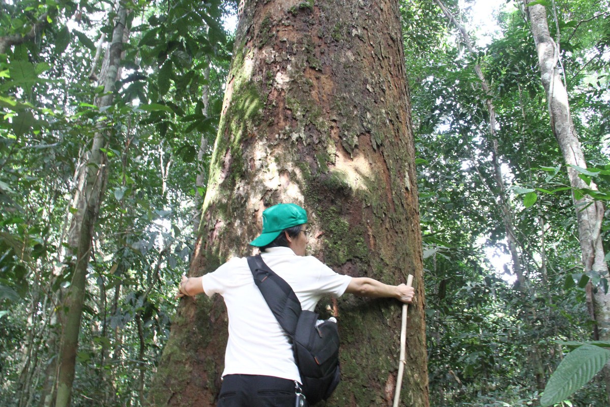 Mấy cái ôm. Ảnh: Thành Nguyễn..