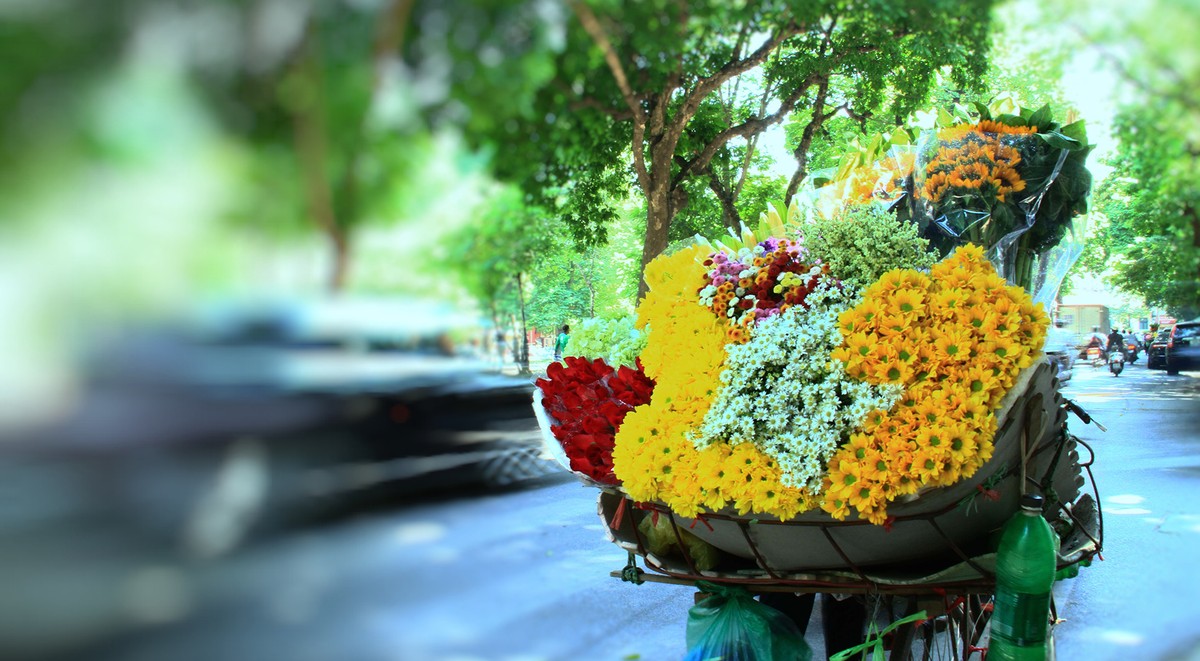 Xe hoa trên phố - nét chấm phá của Thu Hà Nội. Ảnh: Bình Minh.