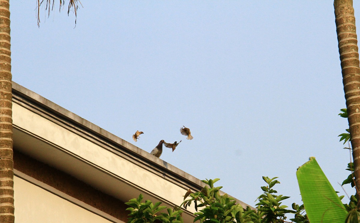 Trước mùa Đông. Ảnh: Thành Nguyễn.