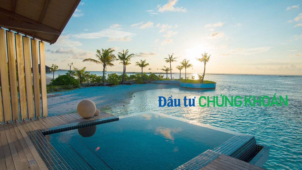 Ảnh: Shutterstock. Ảnh: Shutterstock.
