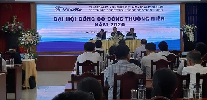 ĐHCĐ Vinafor (VIF): Cổ đông quan tâm tới khoản tiền nhàn rỗi hơn 2.600 tỷ đồng gửi ngân hàng ảnh 1