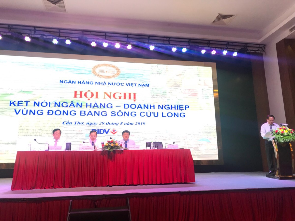 Tháo gỡ khó khăn về vốn cho doanh nghiệp vùng Đồng bằng sông Cửu Long  ảnh 1