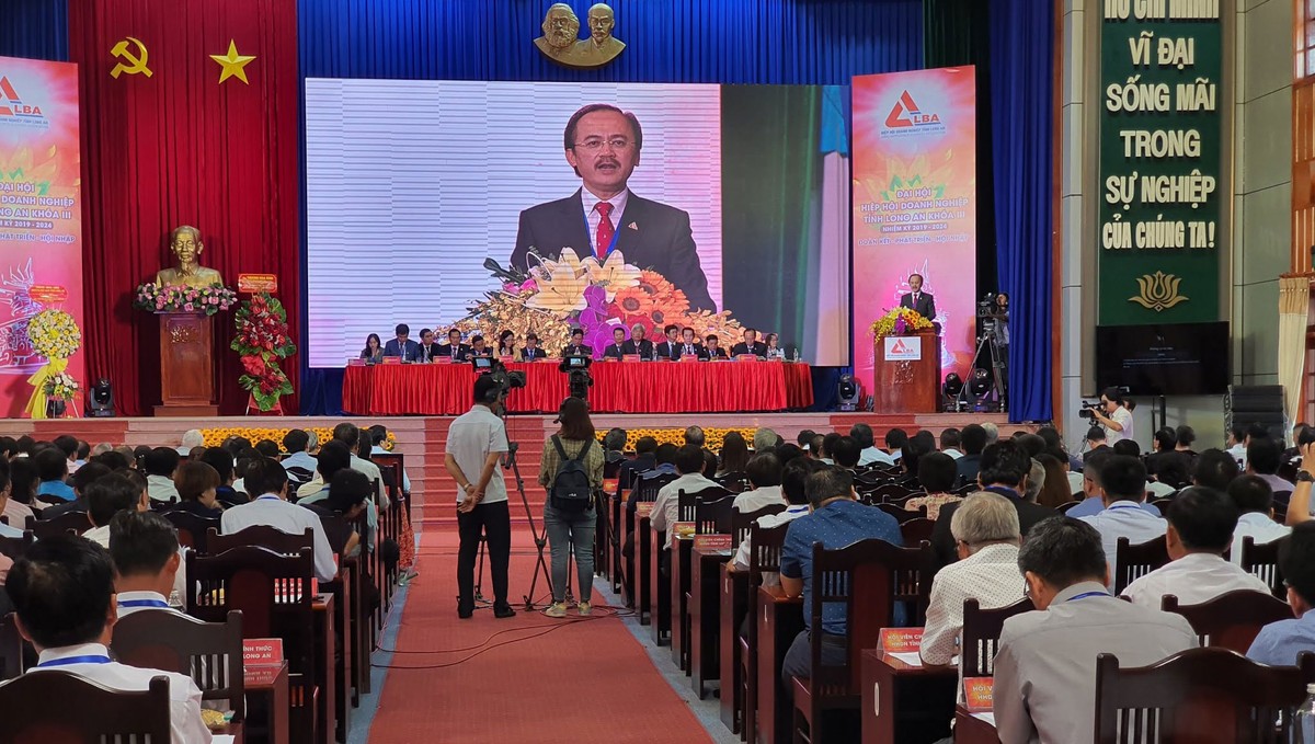 Hiệp hội doanh nghiệp tỉnh Long An đẩy mạnh vai trò kết nối ảnh 2