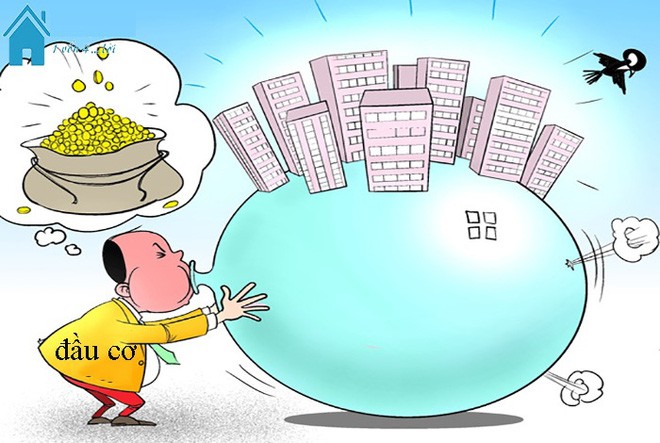 HOREA kiến nghị các giải pháp hạ nhiệt sốt ảo giá đất nền vùng ven tại TP. HCM ảnh 1