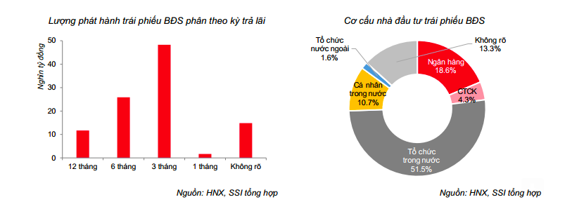 Năm 2020: Trái phiếu bất động sản vẫn nở rộ vì lãi suất hấp dẫn ảnh 1
