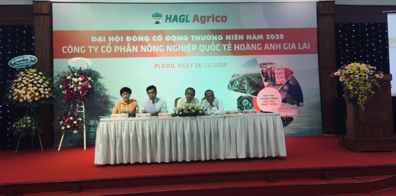 ĐHĐCĐ HAGL Agrico (HNG): Dòng tiền đã thông, ngân hàng đã cho vay trở lại ảnh 1