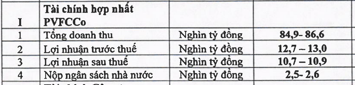 Chỉ số tài chính hợp nhất PVFCCo giai đoạn 2021-2025