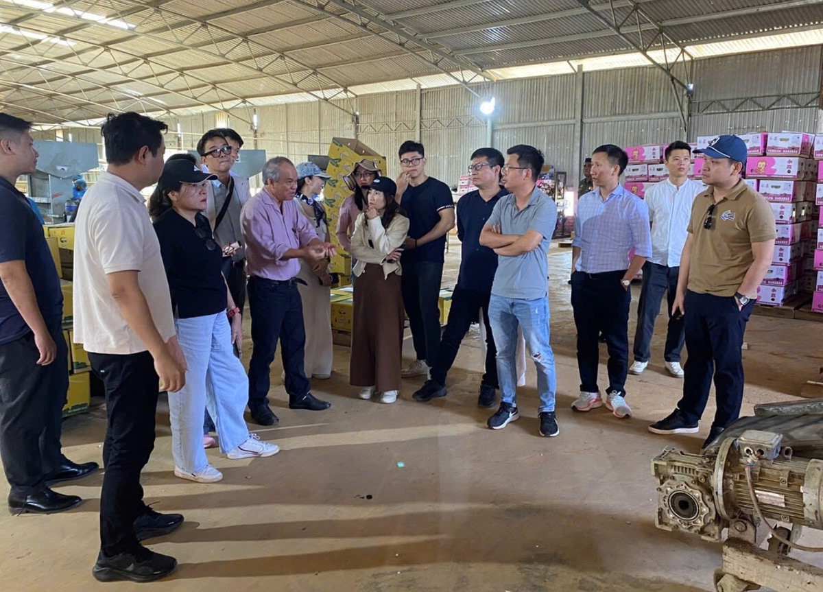 Nhà đầu tư thăm quan xưởng đóng gói chuối của HAG