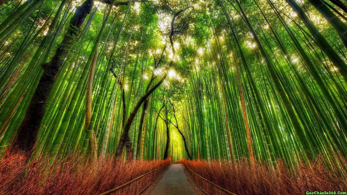 Làm gì để biến khát vọng Việt Nam 2035 thành hiện thực? ảnh 3