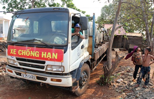 Tháng 3, mùa con ong... không lấy mật! ảnh 2