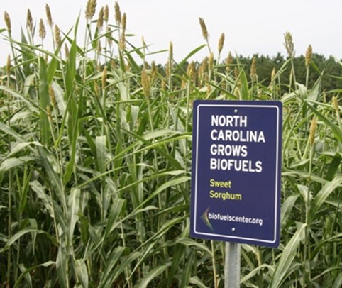 Vì sao sản xuất ethanol tại Việt Nam ‘thoi thóp’ ảnh 2