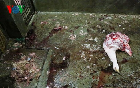 Thịt heo bẩn đang “tấn công” người tiêu dùng ảnh 2