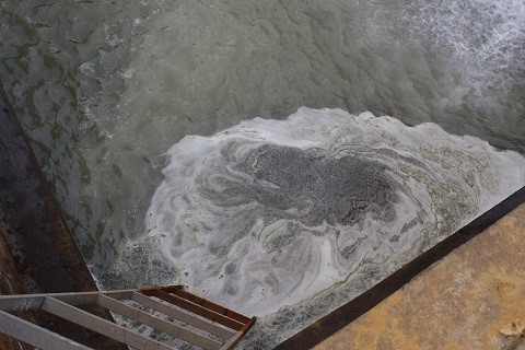 “Đột nhập” nhà máy xả thải gây chết cá hàng loạt trên sông Bưởi ảnh 2