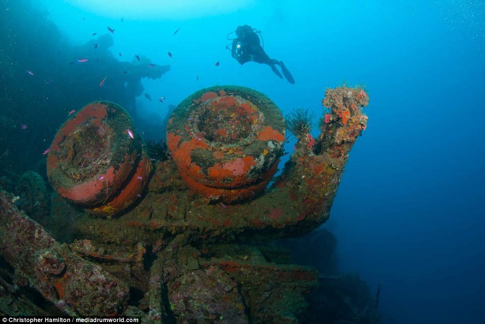 Khám phá “kho báu” của Mỹ dưới đáy Thái Bình Dương ảnh 2